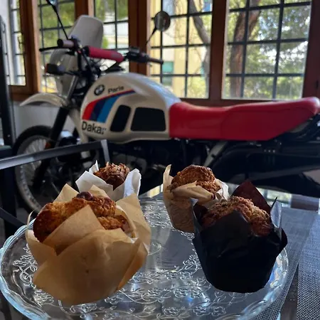 Bmb Bed Motor Bike