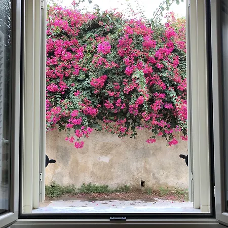 Bmb Bed Motor Bike Couette-café Noto